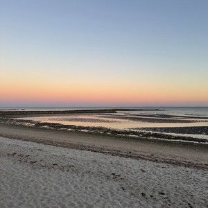 Meet your Posher, Lilah